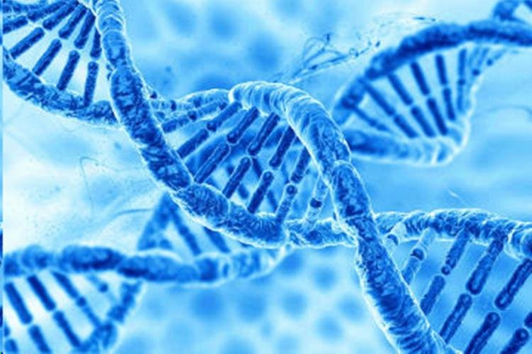 Doenças raras: Pesquisa mostra  dificuldades com o diagnóstico