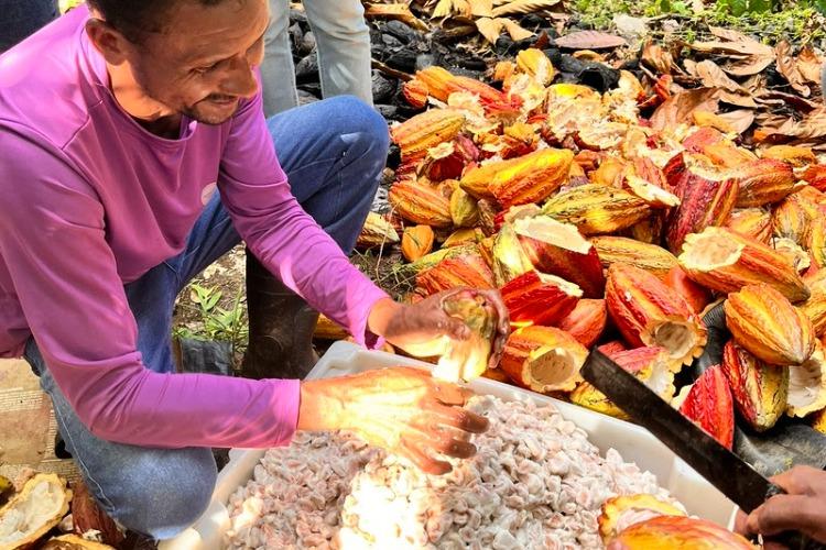 Plano Safra 2026/2027: entraves dificultam o acesso de povos e comunidades tradicionais ao crédito rural