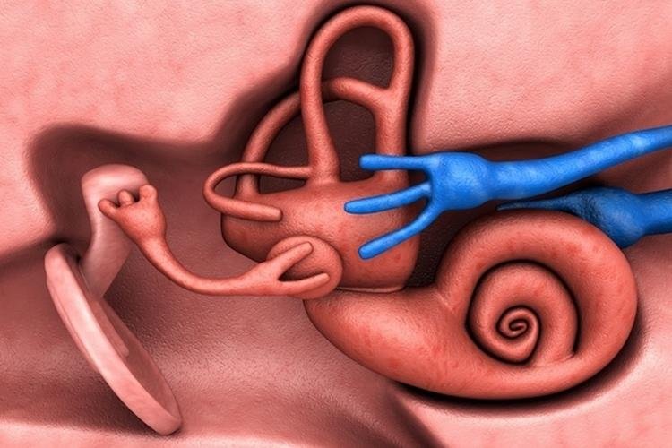 Surdez súbita, o que é? A audição pode voltar?