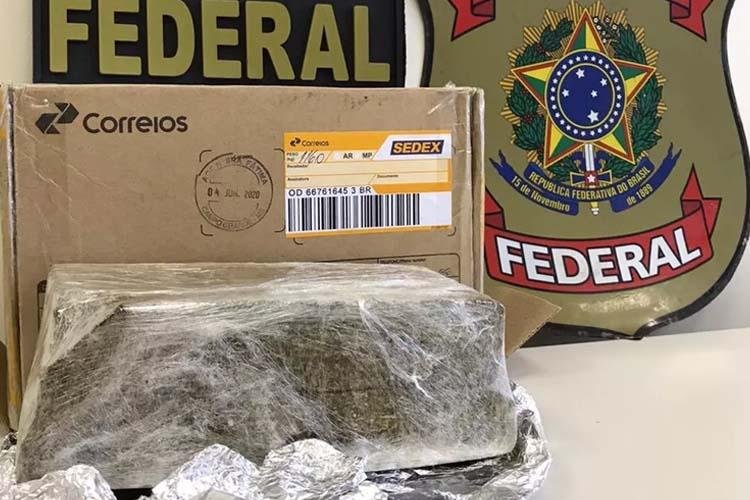 Suspeito de tráfico é preso pela PF em Macapá após receber quase 1 quilo de "skank" pelos Correios