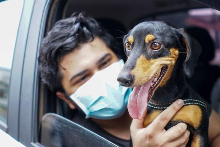 SEMSA REALIZA DIA D DE VACINAÇÃO ANTIRRÁBICA E CAMPANHA SEGUE AO LONGO DA SEMANA