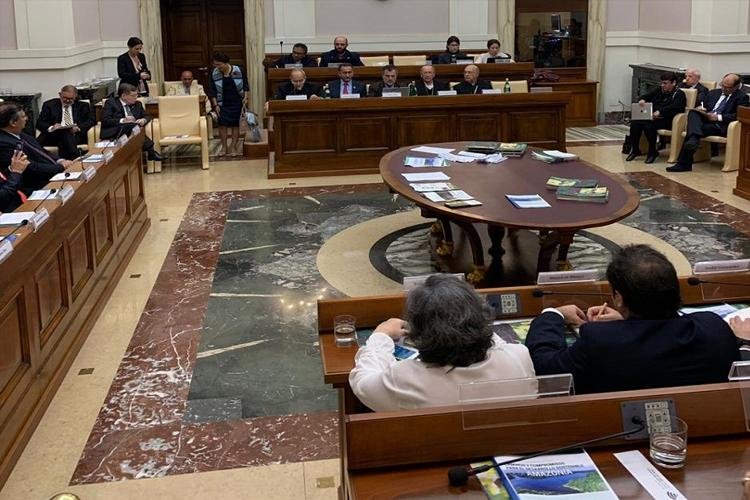 Waldez Góes apresenta Declaração Pan-Amazônia durante Cúpula de Governadores no Vaticano