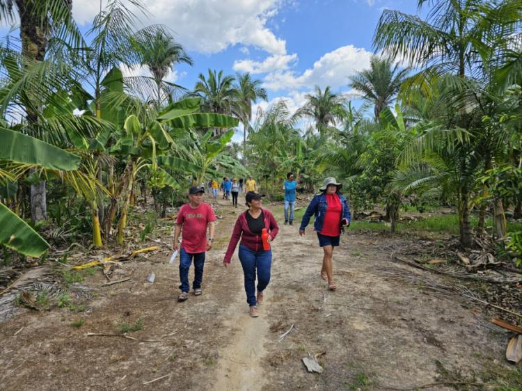 Fundo Ecos lança edital para fortalecer organizações de base comunitária na Amazônia Legal