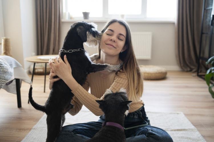 Vai adotar um animal de estimação? Conheça algumas regras e descubra se está pronto para essa importante decisão
