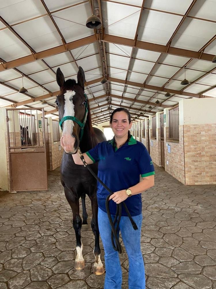 Capacidade técnica e dedicação fortalecem presença feminina na medicina veterinária de equinos