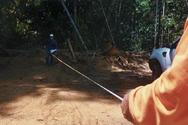 Plano de manejo florestal sustentável de indústria madeireira no Vale do Jari recebe vistoria