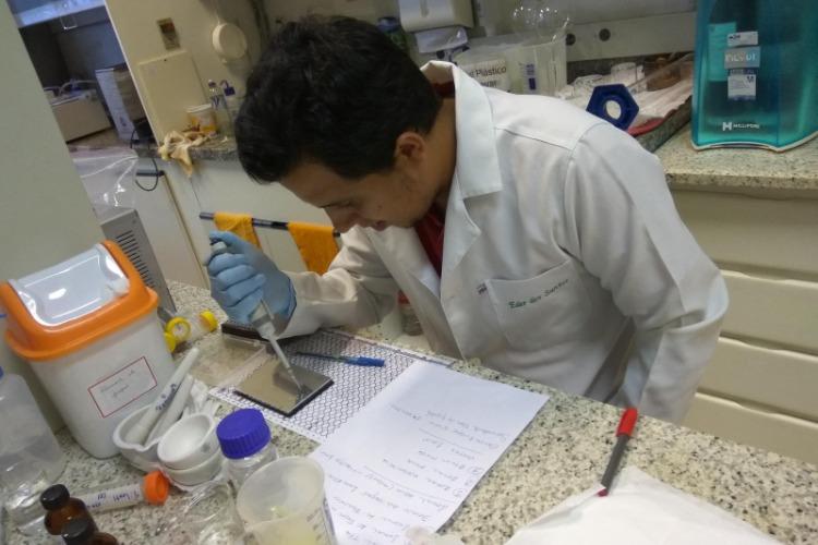 ​Casos de Doença de Chagas na região mostram a importância do manejo correto dos alimentos à base de frutos amazônicos