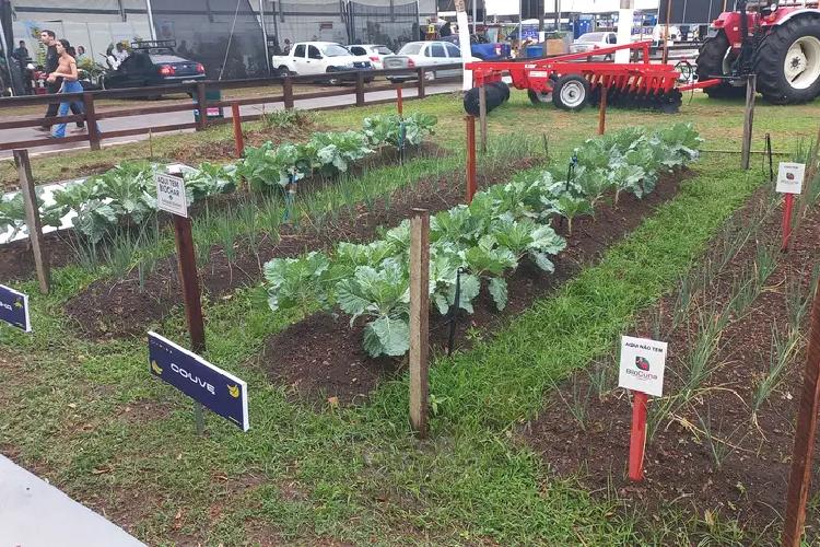 Agricultura familiar movimenta mais de R$ 124 mil e recebe novos investimentos na 54ª Expofeira do Amapá