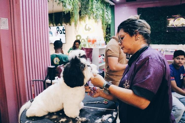 Com apoio do Governo do Amapá, ExpoPet reúne soluções inovadoras, produtos e serviços do mercado pet