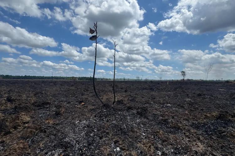 Amapá avança na segunda fase de elaboração do Plano de Manejo Integrado do Fogo
