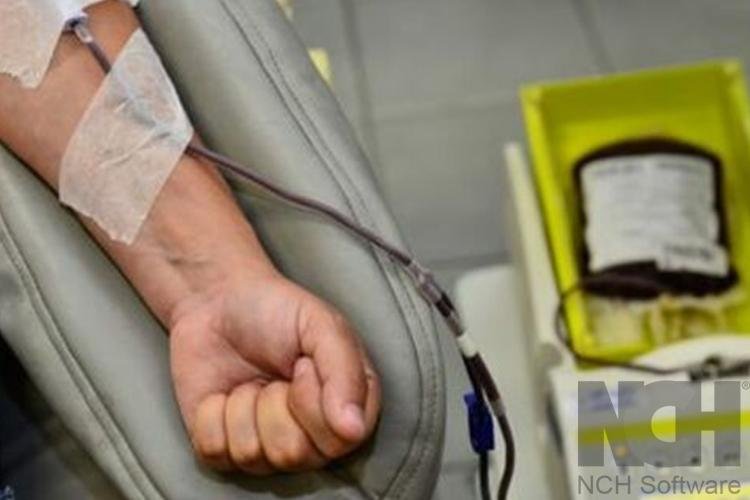 Hemoap faz apelo por novos doadores de sangue e medula óssea