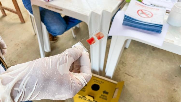 Mosquito da malária: Ação contra a proliferação é realizada na Zona Norte