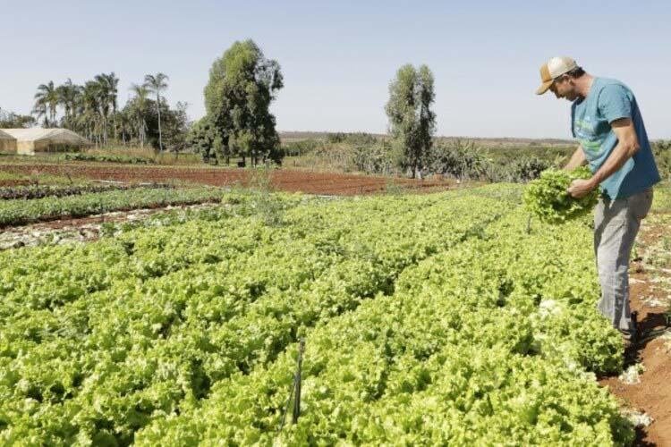Projeto de socorro a agricultores familiares é aprovado pela Câmara dos Deputados 