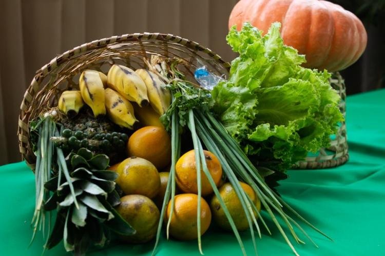 Edital aberto: Amapá investe R$ 14,4 Milhões em alimentos da agricultura familiar para merenda escolar