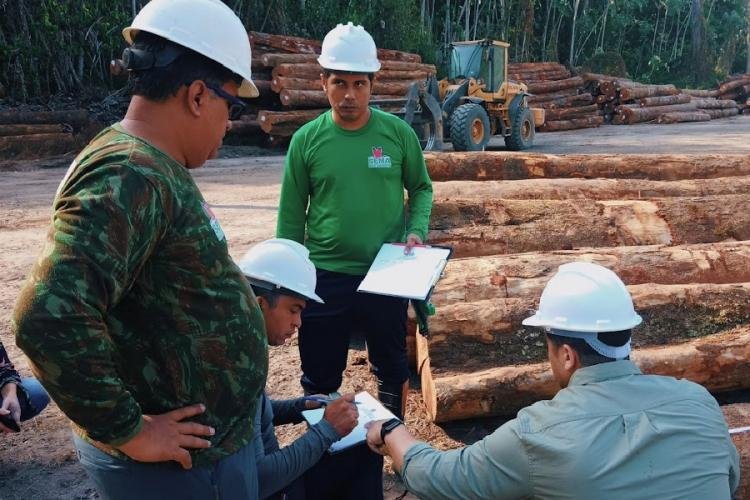 Plano de manejo florestal sustentável de indústria madeireira no Vale do Jari recebe vistoria