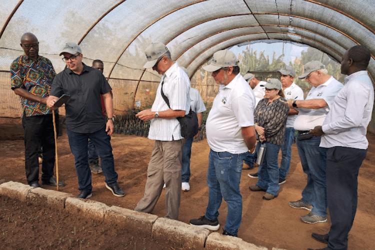 Pesquisadores agrícolas do Amapá conhecem na Tanzânia inovações no plantio da mandioca e desenvolvimento de sementes