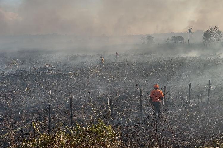 Defesa Civil de Santana alerta sobre queimadas no período de verão