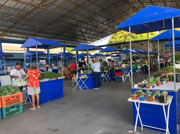 Feira de Agricultura e Arte chega à sua 30ª edição com uma variedade de produtos regionais
