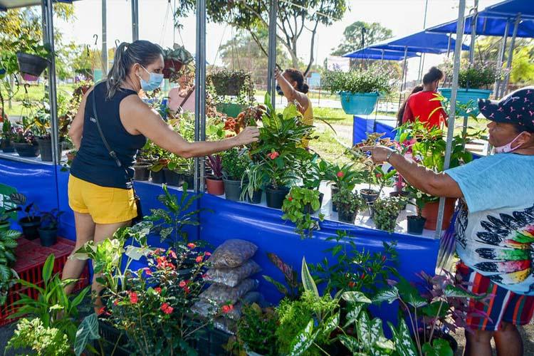 Feira Agricultura e Arte traz produtos de 40 empreendedores macapaenses