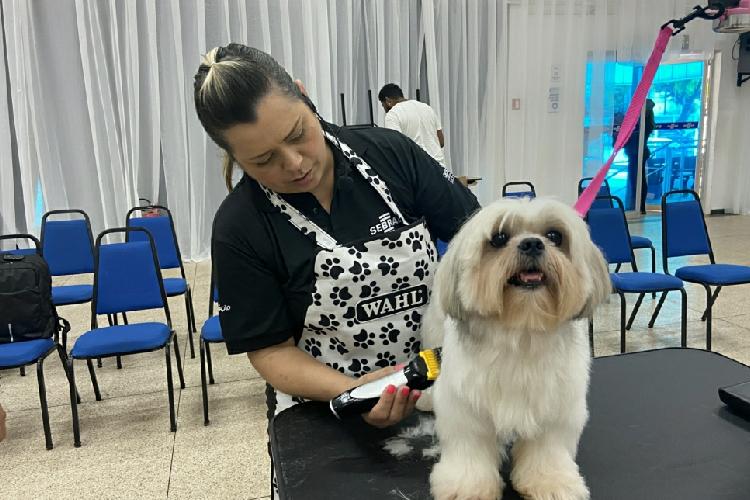 Projeto Sebrae + Pet promove workshop para fortalecer setor no Amapá