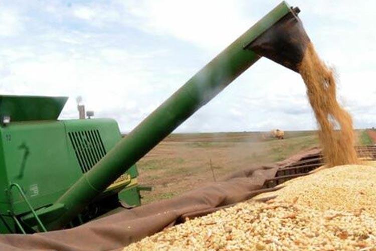 Após 5 anos, Lei Geral de Proteção de Dados ainda carece de complementos