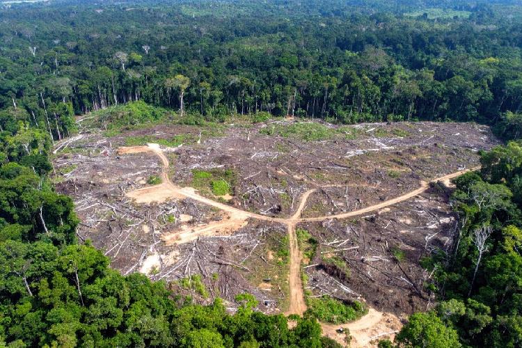 PL do Licenciamento ameaça até o que já está protegido na Amazônia