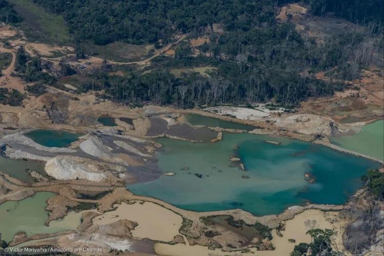 Garimpo avança 562% em terras indígenas e se soma aos impactos do El Niño