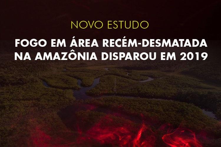 Novo estudo: fogo em área recém-desmatada na Amazônia disparou em 2019