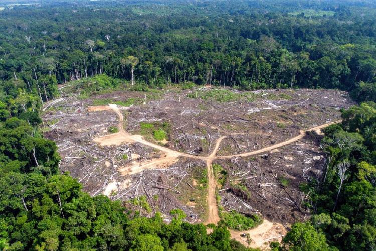 PL do Licenciamento ameaça até o que já está protegido na Amazônia