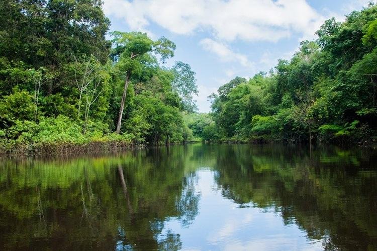 Meio Ambiente e Saneamento serão debatidos durante 2 dias no Amapá