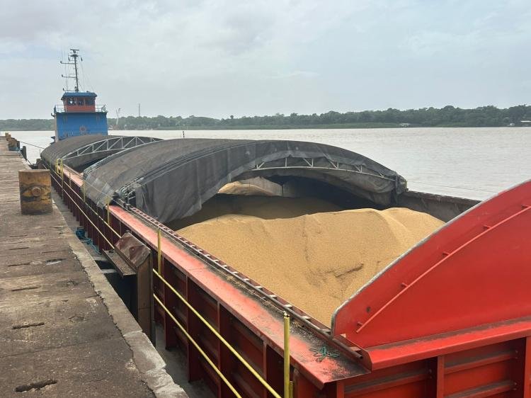 É do Amapá: Companhia Docas de Santana realiza embarque de soja produzida no estado