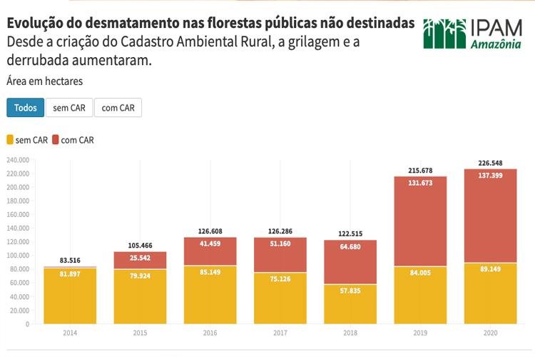 Novos dados: Desmatamento em áreas griladas nas florestas públicas da Amazônia explode em dois anos