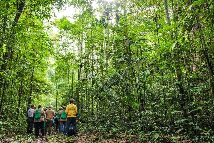 Race to Zero: Amapá integra acordo global para redução de gases do efeito estufa