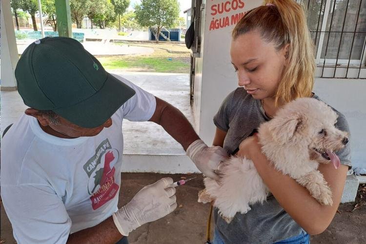 Vacinação Antirrábica em Macapá ganha novos pontos na Zona Norte