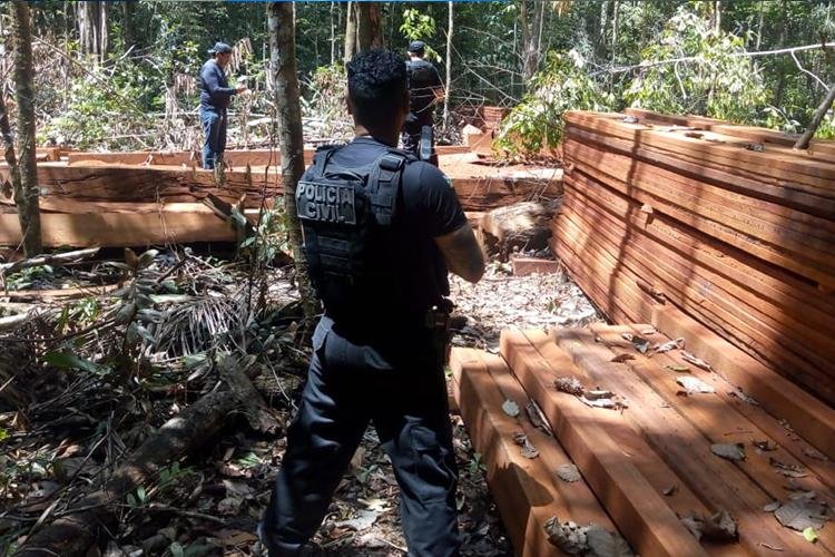 EM VITÓRIA DO JARI, POLÍCIA CIVIL E SEMA APREENDEM MOTOSSERRA E MAIS DE 1000 PEÇAS DE MADEIRAS EXPLORADAS ILEGALMENTE