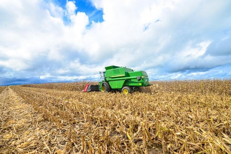 Conab registra aumento de produção de grãos no Amapá no período 2022/2023
