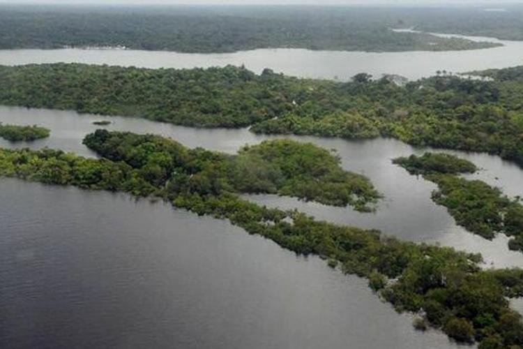 Fundo Clima deve ultrapassar R$ 10 bilhões em 2024
