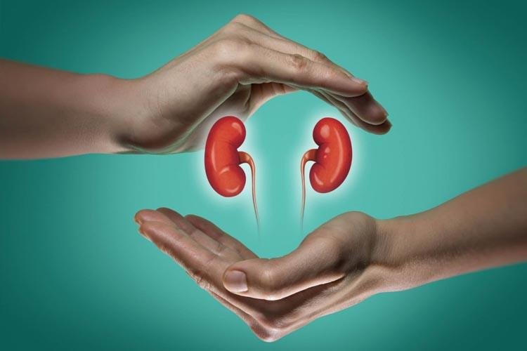 Complicações pós-transplante renal são comuns