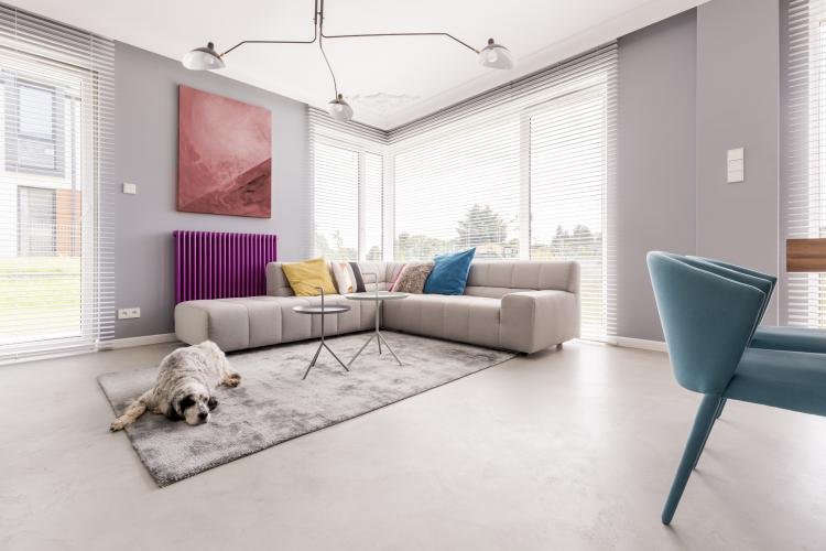 Pets em apartamento: confira dicas para ter um ambiente pet friendly