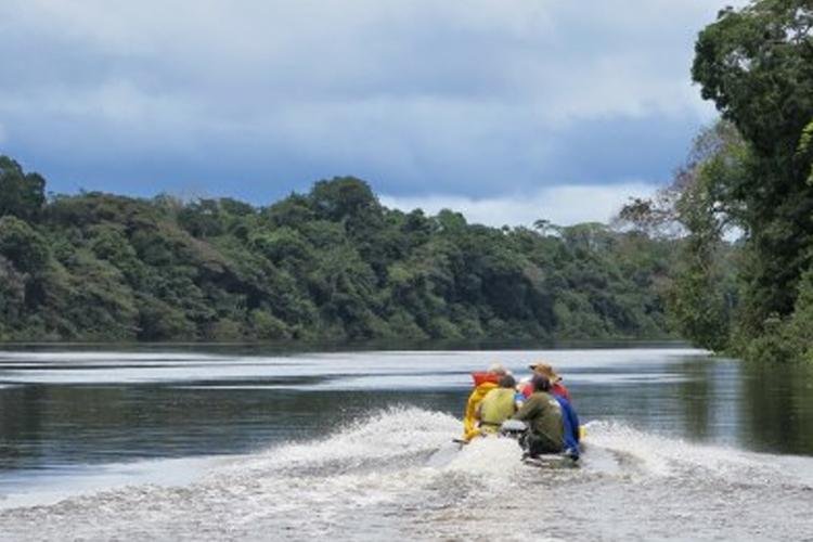 MPF recomenda que Serviço Brasileiro de Florestas não licite área da Floresta Nacional do Amapá