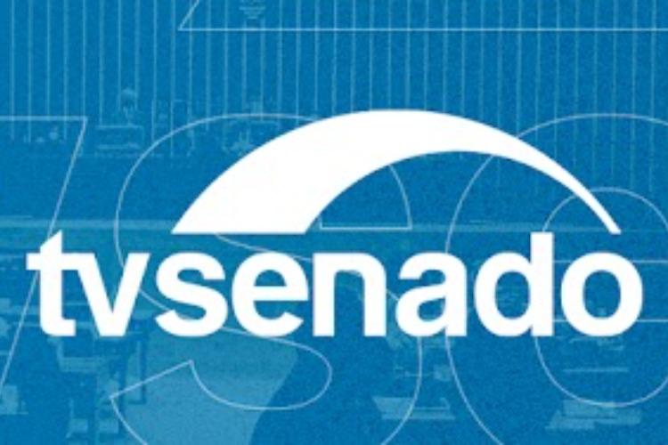 ChildFund participa de audiência pública no Senado para debater proteção de crianças e adolescentes no Carnaval