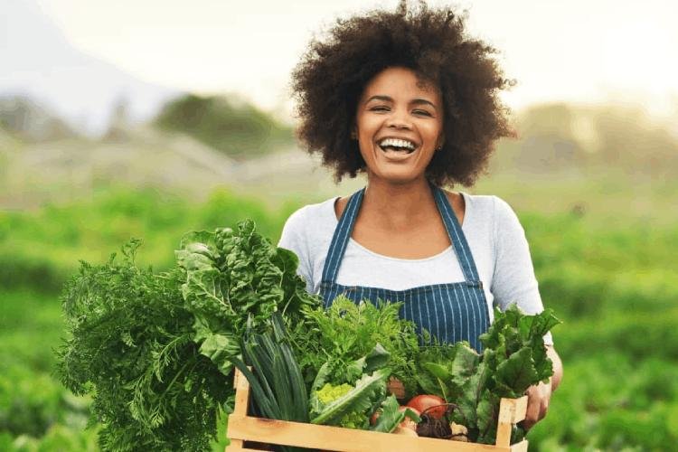 Projetos de agricultura sustentável do Amapá podem concorrer a até R$ 900 mil em chamada pública