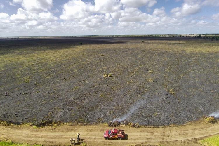 Mudanças climáticas e ação humana: entenda os fatores que contribuem com aumento de queimadas