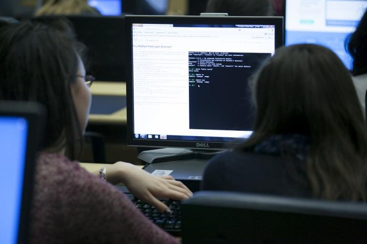 Curso online gratuito de programação para garotas na USP: inscreva-se até 10 de junho