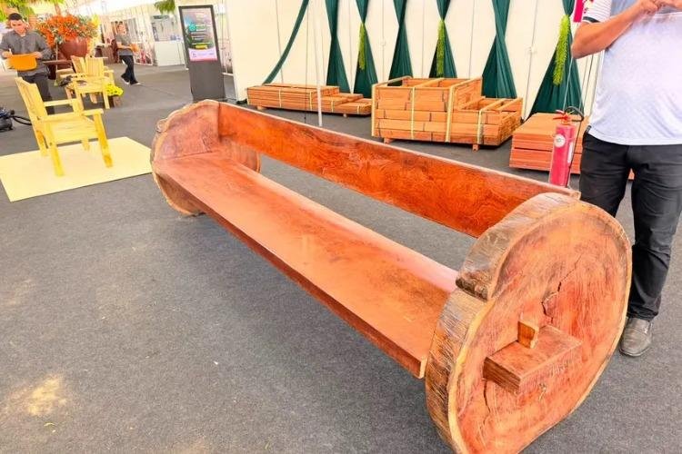 Expofeira 2026 destaca cadeia produtiva da madeira com manejo florestal sustentável