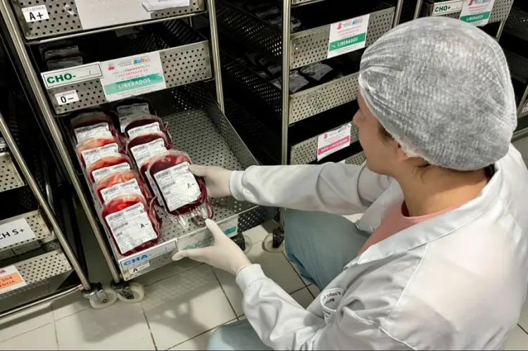 Governo do Amapá detalha o percurso do sangue no Hemoap da coleta até a entrega aos hospitais