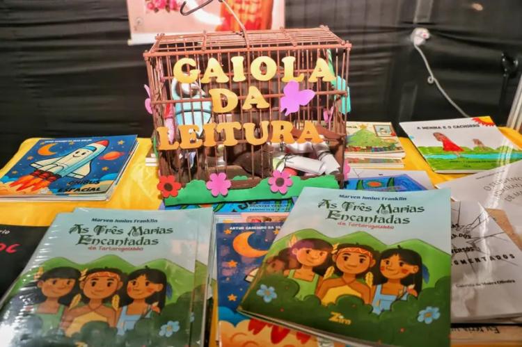 Literatura que nasce na escola ganha espaço na ExpoAgro de Tartarugalzinho