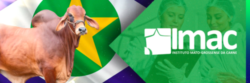 Pecuarista de MT utiliza intensificação para aumentar a produção sustentável de carne