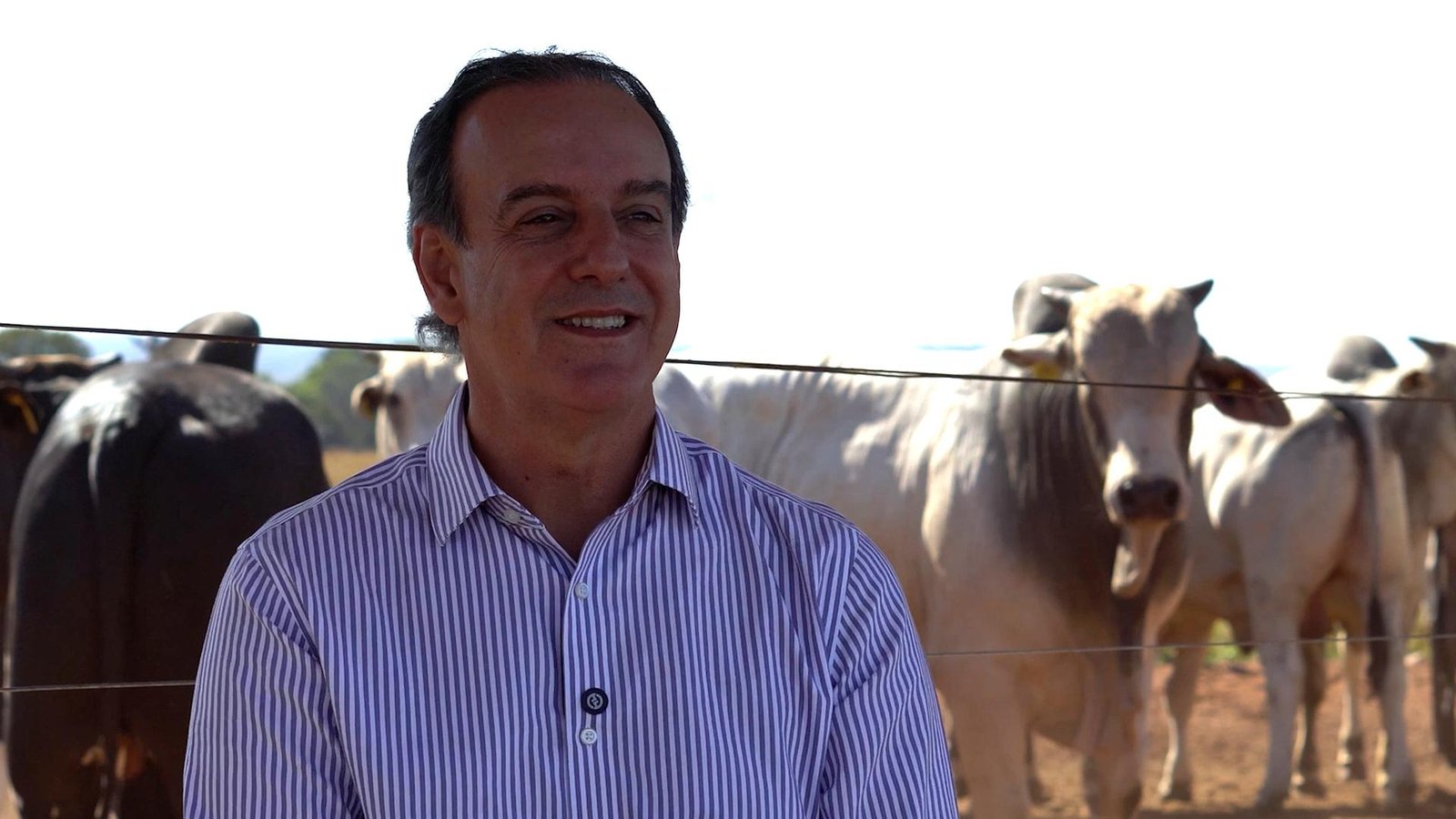 Pecuarista de MT utiliza intensificação para aumentar a produção sustentável de carne